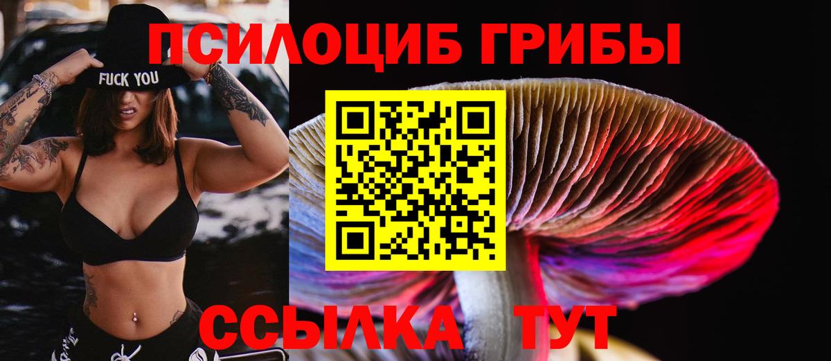 Псилоцибиновые грибы мицелий  Вход с VPN  Сарапул  Галлюциногенные грибы GOLDEN TEACHER 